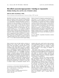 Báo cáo khoa học:  Microﬁbril-associated glycoprotein-1 binding to tropoelastin