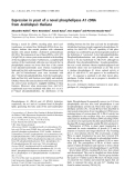 Báo cáo khoa học:  Expression in yeast of a novel phospholipase A1 cDNA from Arabidopsis thaliana