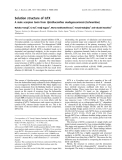 Báo cáo khoa học: Solution structure of IsTX A male scorpion toxin fromOpisthacanthus madagascariensis(Ischnuridae)