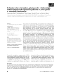 Báo cáo khoa học: Molecular characterization, phylogenetic relationships, and developmental expression patterns of prion genes in zebraﬁsh (Danio rerio)