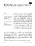 Báo cáo khoa học: Protective effect of active oxygen scavengers on protein degradation and photochemical function in photosystem I submembrane fractions during light stress