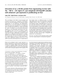 Báo cáo khoa học:  Interaction of an  40 kDa protein from regenerating rat liver with the )148 to )124 region of c-jun complexed with RLjunRP coincides with enhanced c-jun expression in proliferating rat liver