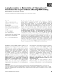 Báo cáo khoa học: A single mutation in Escherichia coli ribonuclease II inactivates the enzyme without affecting RNA binding