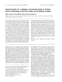 Báo cáo khoa học:  Characterization of a cathepsin L-associated protein in Artemia and its relationship to the FAS-I family of cell adhesion proteins