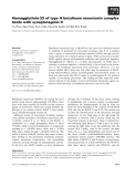 Báo cáo khoa học: Hemagglutinin-33 of type A botulinum neurotoxin complex binds with synaptotagmin II