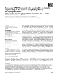 Báo cáo khoa học: Increased NADPH concentration obtained by metabolic engineering of the pentose phosphate pathway in Aspergillus niger