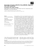 Báo cáo khoa học: Interaction of human steﬁn B in the preﬁbrillar oligomeric form with membranes Correlation with cellular toxicity