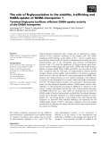 Báo cáo khoa học: The role of N-glycosylation in the stability, trafﬁcking and GABA-uptake of GABA-transporter 1 Terminal N-glycans facilitate efﬁcient GABA-uptake activity of the GABA transporter