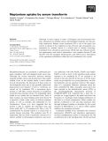 Báo cáo khoa học: Neptunium uptake by serum transferrin