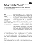 Báo cáo khoa học: The Ets transcription factor ESE-1 mediates induction of the COX-2 gene by LPS in monocytes