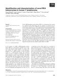 Báo cáo khoa học: Identiﬁcation and characterization of novel PKA holoenzymes in human T lymphocytes