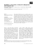 Báo cáo khoa học: SLC39A14, a LZT protein, is induced in adipogenesis and transports zinc