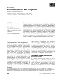 Báo cáo khoa học: Protein families and RNA recognition