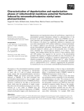 Báo cáo khoa học: Characterization of depolarization and repolarization phases of mitochondrial membrane potential ﬂuctuations induced by tetramethylrhodamine methyl ester photoactivation