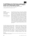 Báo cáo khoa học: The SCO2299 gene from Streptomyces coelicolor A3(2) encodes a bifunctional enzyme consisting of an RNase H domain and an acid phosphatase domain