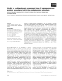 Báo cáo khoa học: Hu-K4 is a ubiquitously expressed type 2 transmembrane protein associated with the endoplasmic reticulum