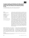 Báo cáo khoa học: A natural osmolyte trimethylamine N-oxide promotes assembly and bundling of the bacterial cell division protein, FtsZ and counteracts the denaturing effects of urea