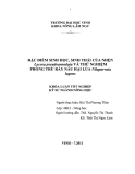 Báo cáo  Đặc điểm sinh học, sinh thái của nhện và thử nghiệm phòng trừ rày nâu hại lúa