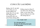 Cung cầu lao động