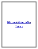 Khi con 6 tháng tuổi – Tuần 2