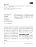 Báo cáo khoa học: Calcium signalling by nicotinic acid adenine dinucleotide phosphate (NAADP)