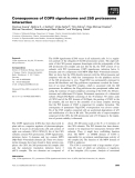 Báo cáo khoa học: Consequences of COP9 signalosome and 26S proteasome interaction