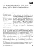 Báo cáo khoa học: Two separate regions essential for nuclear import of the hnRNP D nucleocytoplasmic shuttling sequence