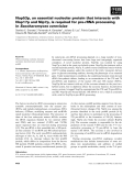 Báo cáo khoa học: Nop53p, an essential nucleolar protein that interacts with Nop17p and Nip7p, is required for pre-rRNA processing in Saccharomyces cerevisiae