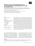 Báo cáo khoa học: Modular usage of the HLA-DRA promoter in extra-hematopoietic and hematopoietic cell types of transgenic mice