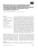 Báo cáo khoa học: Benzamide and 4-amino 1,8 naphthalimide treatment inhibit telomerase activity by down-regulating the expression of telomerase associated protein and inhibiting the poly(ADP-ribosyl)ation of telomerase reverse transcriptase in cultured cells