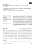 Báo cáo khoa học: Long-distance interactions between enhancers and promoters The case of the Abd-B domain of the Drosophila bithorax complex