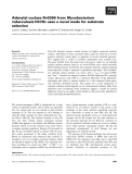 Báo cáo khoa học: Adenylyl cyclase Rv0386 from Mycobacterium tuberculosis H37Rv uses a novel mode for substrate selection