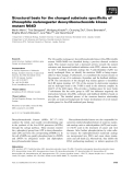 Báo cáo khoa học: Structural basis for the changed substrate speciﬁcity of Drosophila melanogaster deoxyribonucleoside kinase mutant N64D