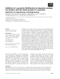 Báo cáo khoa học: Inhibition of a-synuclein ﬁbrillization by dopamine analogs via reaction with the amino groups of a-synuclein Implication for dopaminergic neurodegeneration