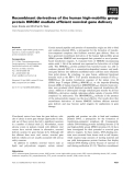 Báo cáo khoa học: Recombinant derivatives of the human high-mobility group protein HMGB2 mediate efﬁcient nonviral gene delivery