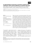 Báo cáo khoa học: A mitochondrial cytochrome b mutation causing severe respiratory chain enzyme deﬁciency in humans and yeast