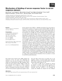 Báo cáo khoa học: Mechanism of binding of serum response factor to serum response element