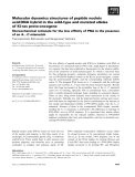 Báo cáo khoa học: Molecular dynamics structures of peptide nucleic acidÆDNA hybrid in the wild-type and mutated alleles of Ki-ras proto-oncogene