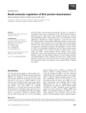 Báo cáo khoa học: Small molecule regulation of Sir2 protein deacetylases