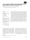 Báo cáo khoa học: A novel carbonic anhydrase from the giant clam Tridacna gigas contains two carbonic anhydrase domains