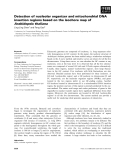 Báo cáo khoa học: Detection of nucleolar organizer and mitochondrial DNA insertion regions based on the isochore map of Arabidopsis thaliana