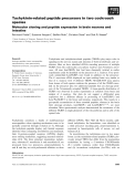 Báo cáo khoa học: Tachykinin-related peptide precursors in two cockroach species Molecular cloning and peptide expression in brain neurons and intestine