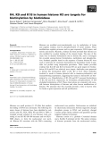 Báo cáo khoa học: K4, K9 and K18 in human histone H3 are targets for biotinylation by biotinidase