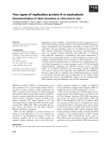 Báo cáo khoa học: Two types of replication protein A in seed plants Characterization of their functions in vitro and in vivo