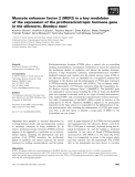 Báo cáo khoa học: Myocyte enhancer factor 2 (MEF2) is a key modulator of the expression of the prothoracicotropic hormone gene in the silkworm, Bombyx mori