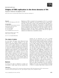 Báo cáo khoa học:  Origins of DNA replication in the three domains of life