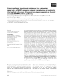Báo cáo khoa học: Structural and functional evidence for a singular repertoire of BMP receptor signal transducing proteins in the lophotrochozoan Crassostrea gigas suggests a shared ancestral BMP/activin pathway
