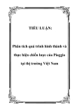 TIỂU LUẬN:  Phân tích quá trình hình thành và thực hiện chiến lược của Piaggio tại thị trường Việt Nam