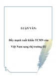 LUẬN VĂN:  Đẩy mạnh xuất khẩu TCMN của Việt Nam sang thị trường EU