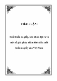 Tiểu luận: Xuất khẩu da giày, khó khăn đặt ra và một số giải pháp nhằm thúc đẩy xuất khẩu da giày của Việt Nam